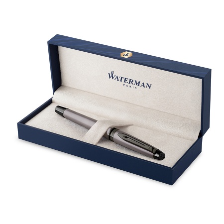 Перьевая ручка Waterman Expert DeLuxe - Metallic Silver RT Перьевая ручка Waterman Expert DeLuxe - Metallic Silver RT