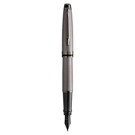 Перьевая ручка Waterman Expert DeLuxe - Metallic Silver RT Перьевая ручка Waterman Expert DeLuxe - Metallic Silver RT